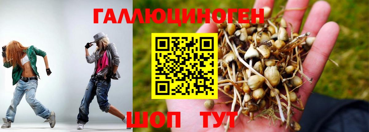 Братск  Галлюциногенные грибы ЛСД  Вход с VPN  Псилоцибиновые грибы Magic Shrooms 