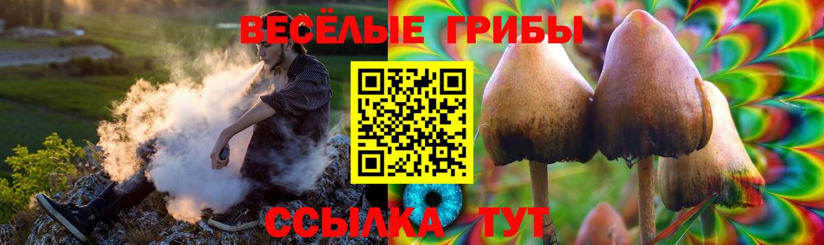 Псилоцибиновые грибы мухоморы Братск