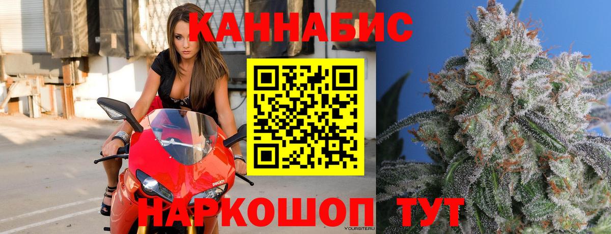 Шишки марихуана конопля  Шишки марихуана Bruce Banner  Братск  Вход с VPN 